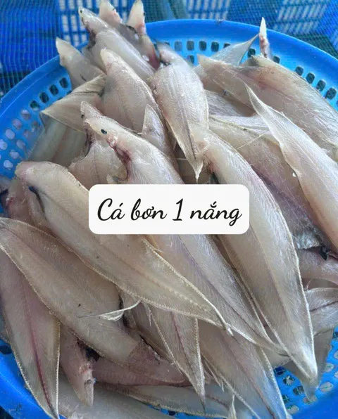cá bơn 1 nắng