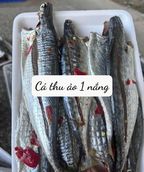 cá thu ảo 1 nắng